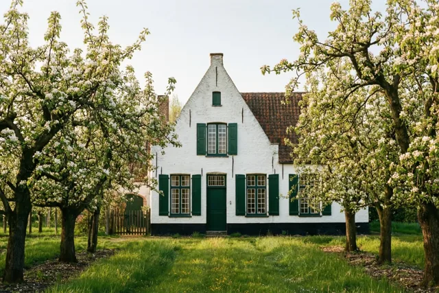 Bloesems aan de hoeve