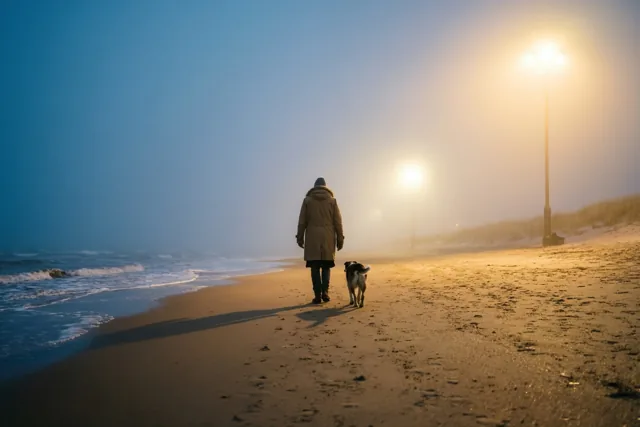 Herfstavond met de hond