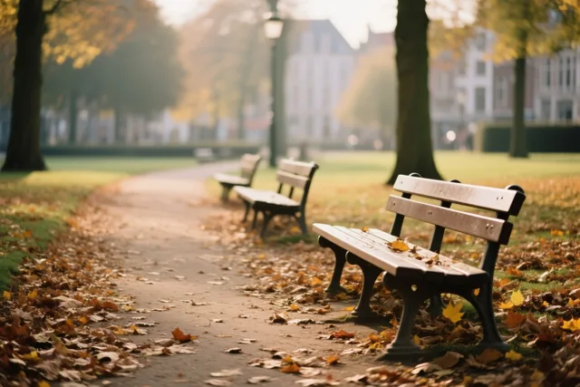 Een parkpad vol herfstbladeren loopt langs lege houten banken onder bomen met gouden bladeren in zacht zonlicht.