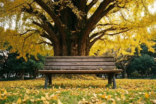 Een bankje onder herfstgoud