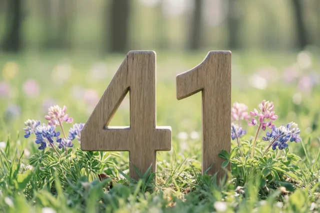 Houten cijfers vormen 41 in een zonnige grasweide met bloeiende lentebloemen en onscherp groen op de achtergrond.