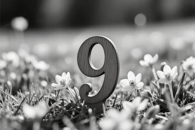 Een zwart-witfoto toont een houten 9 die rechtop in een grasweide met kleine witte bloemen staat.