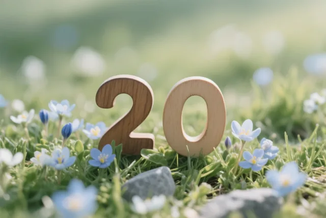 Houten cijfers vormen 20 in een zonnige grasweide met kleine blauwe bloemen en een onscherpe groene achtergrond.