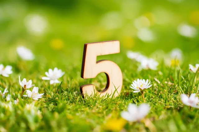 Een houten cijfer 5 staat in felgroen gras met kleine witte bloemen in een zonnige weide met een onscherpe achtergrond.