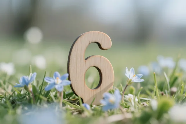 Een houten cijfer 6 staat in een grasweide met kleine blauwe bloemen in helder zonlicht, met een zachte onscherpe achtergrond.