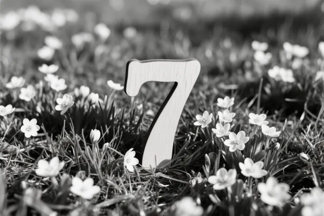 Een zwart-witfoto toont een houten 7 die rechtop staat in een grasveld met kleine witte lentebloemen.