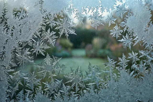 IJspatronen als sneeuwvlokken bedekken een ruit, met een wazige tuin zichtbaar door een helder stuk in het midden, in blauw en wit.