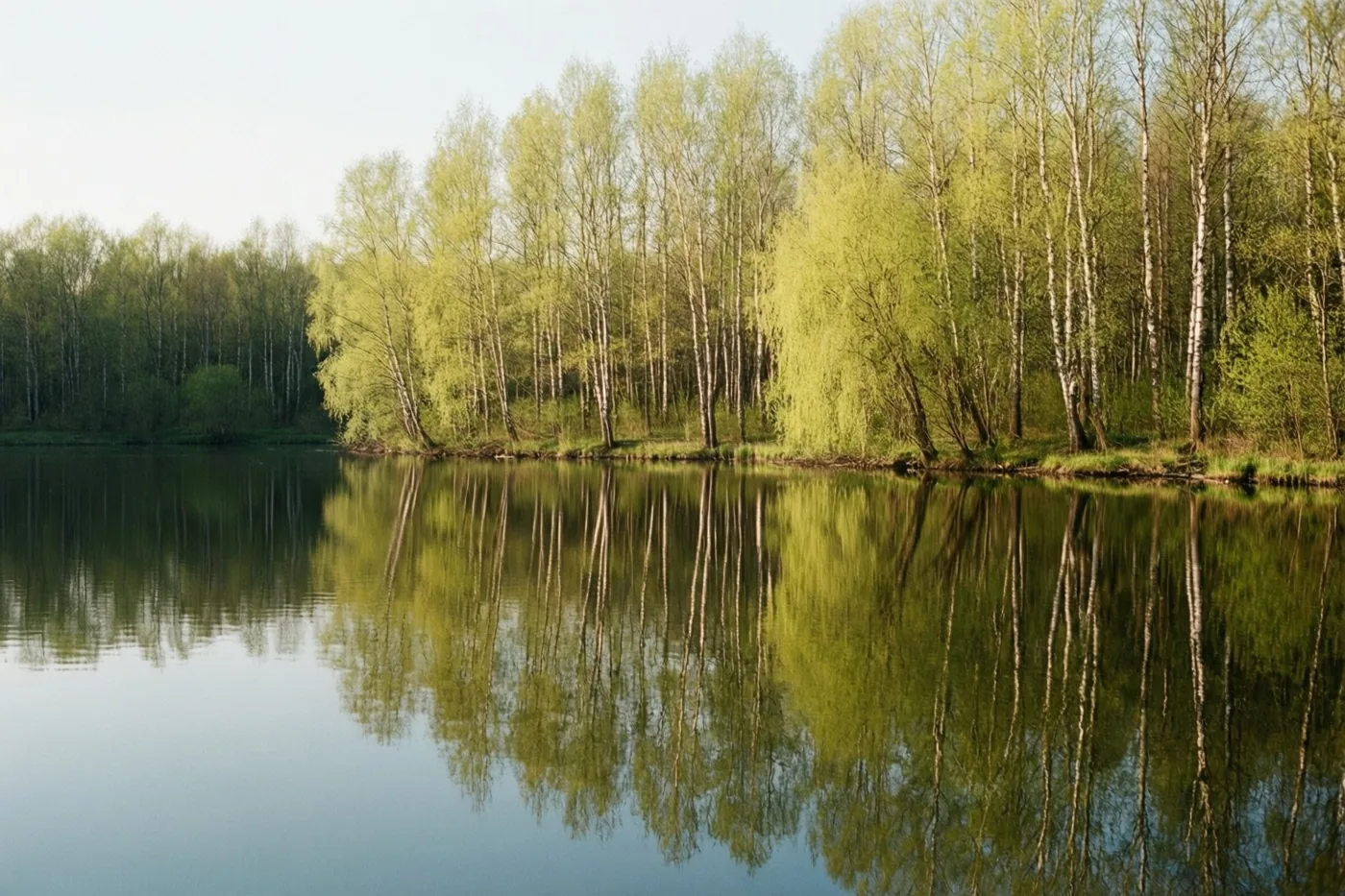 Een kalm meer weerspiegelt berken en wilgen met nieuw lichtgroen blad aan de oever onder een zachte, heldere hemel in de vroege lente.
