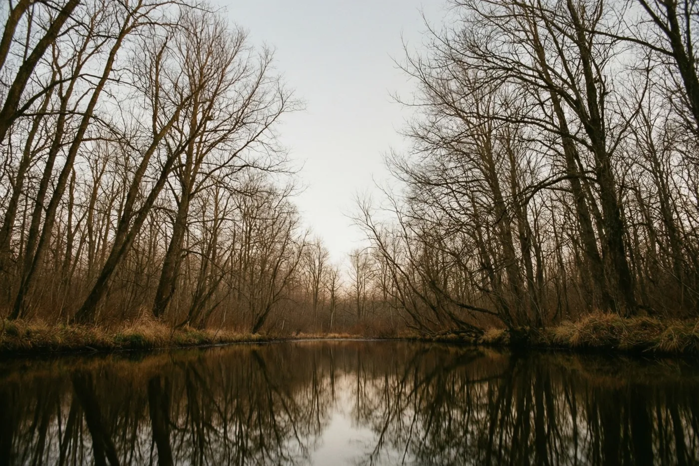Kale winterbomen staan langs een stil meer met hun takken weerspiegeld in het kalme water, onder een lichtgrijze lucht in gedempte bruine en grijze tinten.