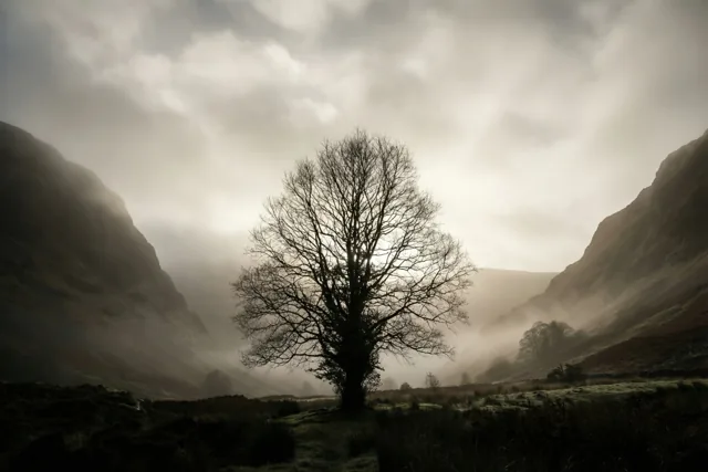 Medeleven in een stil landschap