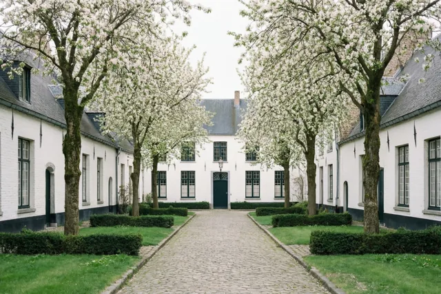 Bloesems langs het pad