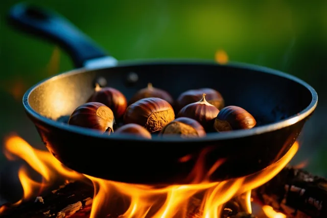 Warmte van de vlammen