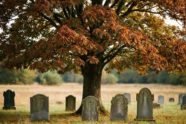 Dierbaren herdenken onder herfsttakken