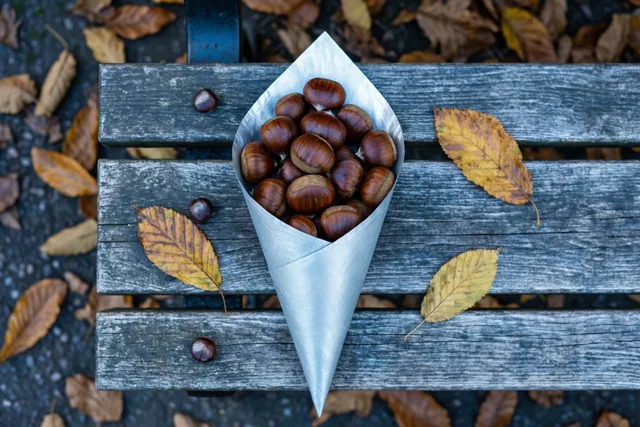 Kastanjes kleuren de herfst