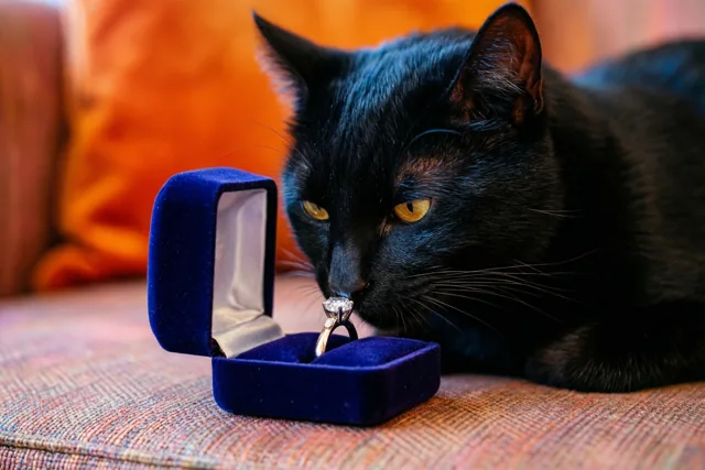 Kattenogen voor jullie verlovingsring