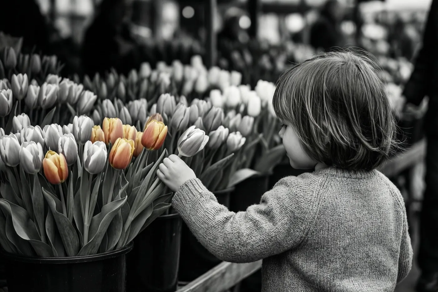 Een jong kind reikt van op de rug gezien naar tulpen aan een bloemenkraam in een grotendeels zwart-witbeeld waarin de tulpen kleur behouden.