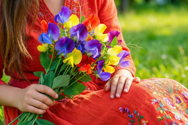 Mama, pronkertjes in alle kleuren