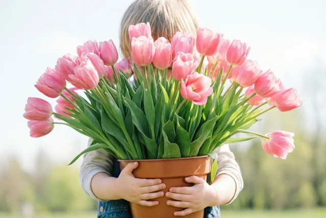 Armen vol tulpen voor mama