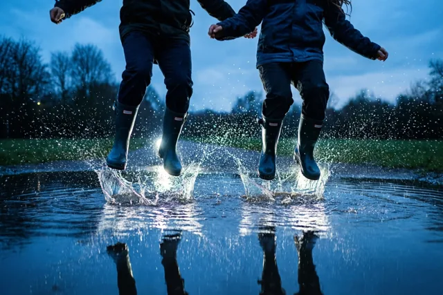 Plassenvriendjes bij valavond