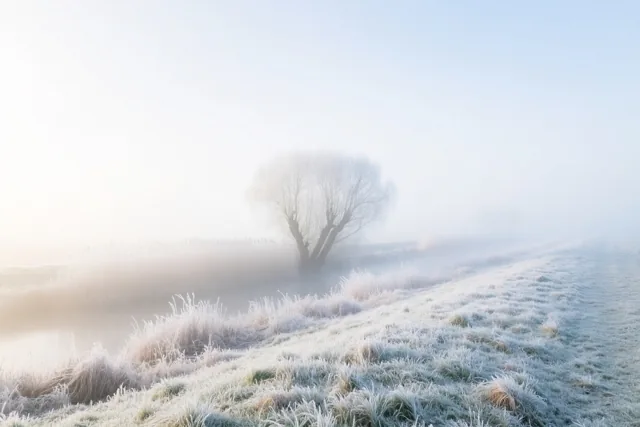 Een stille ochtend in de polders