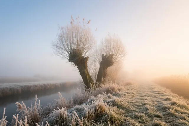 De polders worden wakker