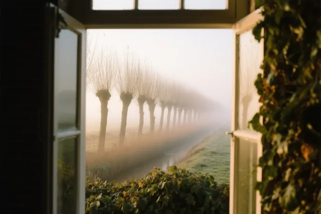 Een raam op de polder