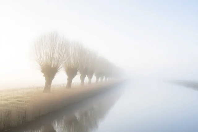 Zachtblauwe stilte langs het water