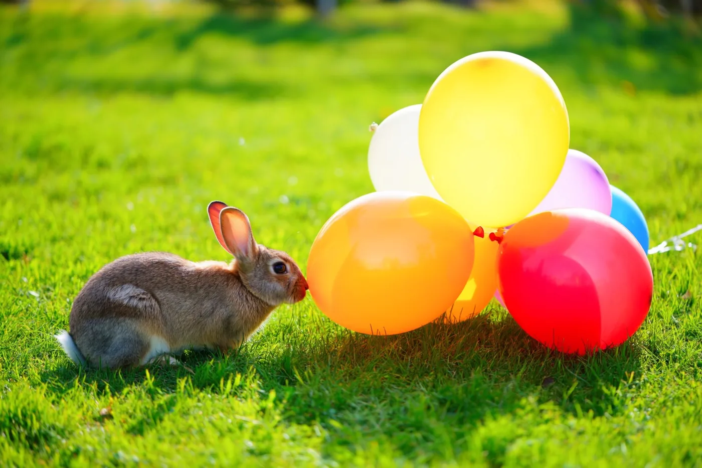 Een klein bruin konijn zit op felgroen gras en snuffelt aan een tros kleurrijke ballonnen.
