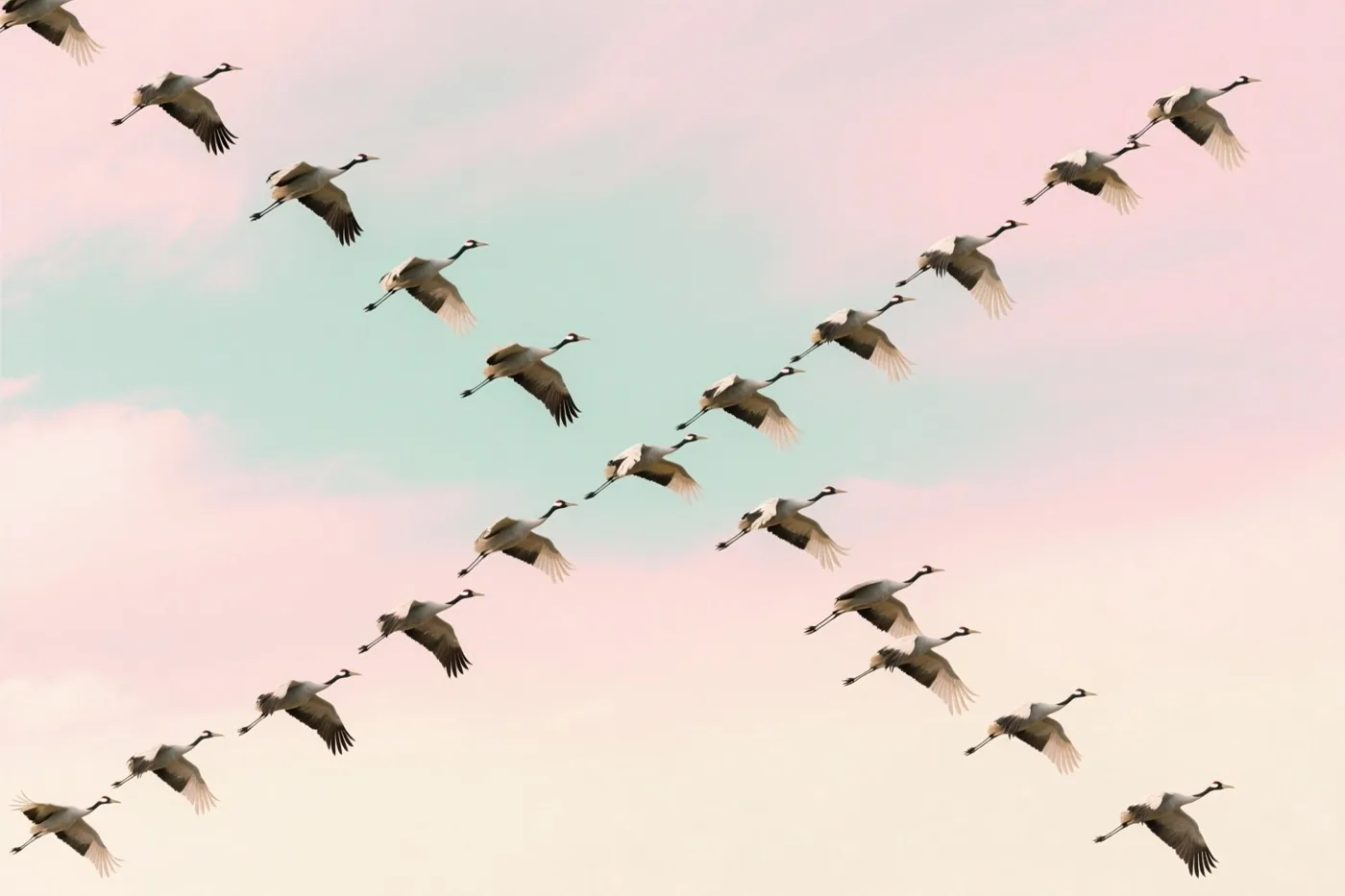 Een groep kraanvogels vliegt in V-formatie door een lucht in pastelroze, mintgroene en witte tinten.