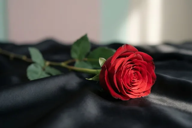 Liefde in rood en zijde