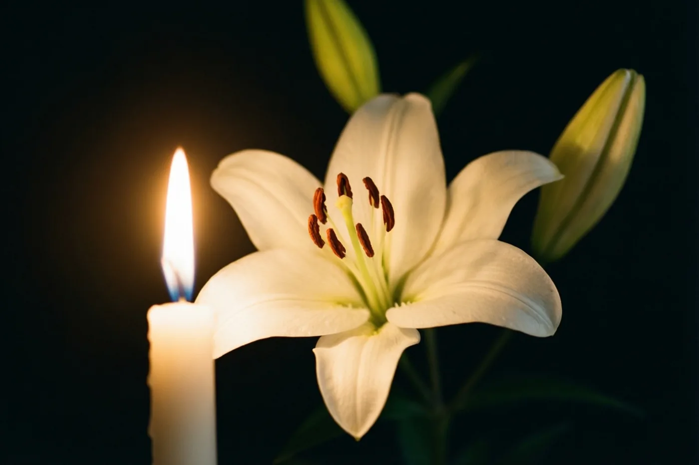 Een witte lelie wordt verlicht door de warme gloed van een brandende kaars tegen een diepzwarte achtergrond.