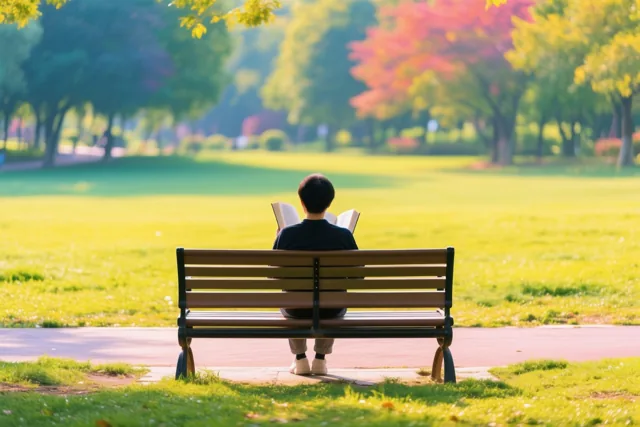 Een persoon zit met de rug naar de camera op een houten bank een boek te lezen in een zonnig park met groen gras en bomen in herfstkleuren.