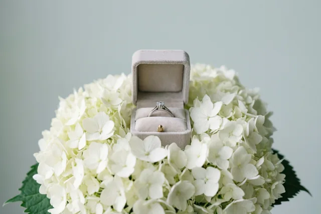 Witte hortensia’s voor jullie verloving