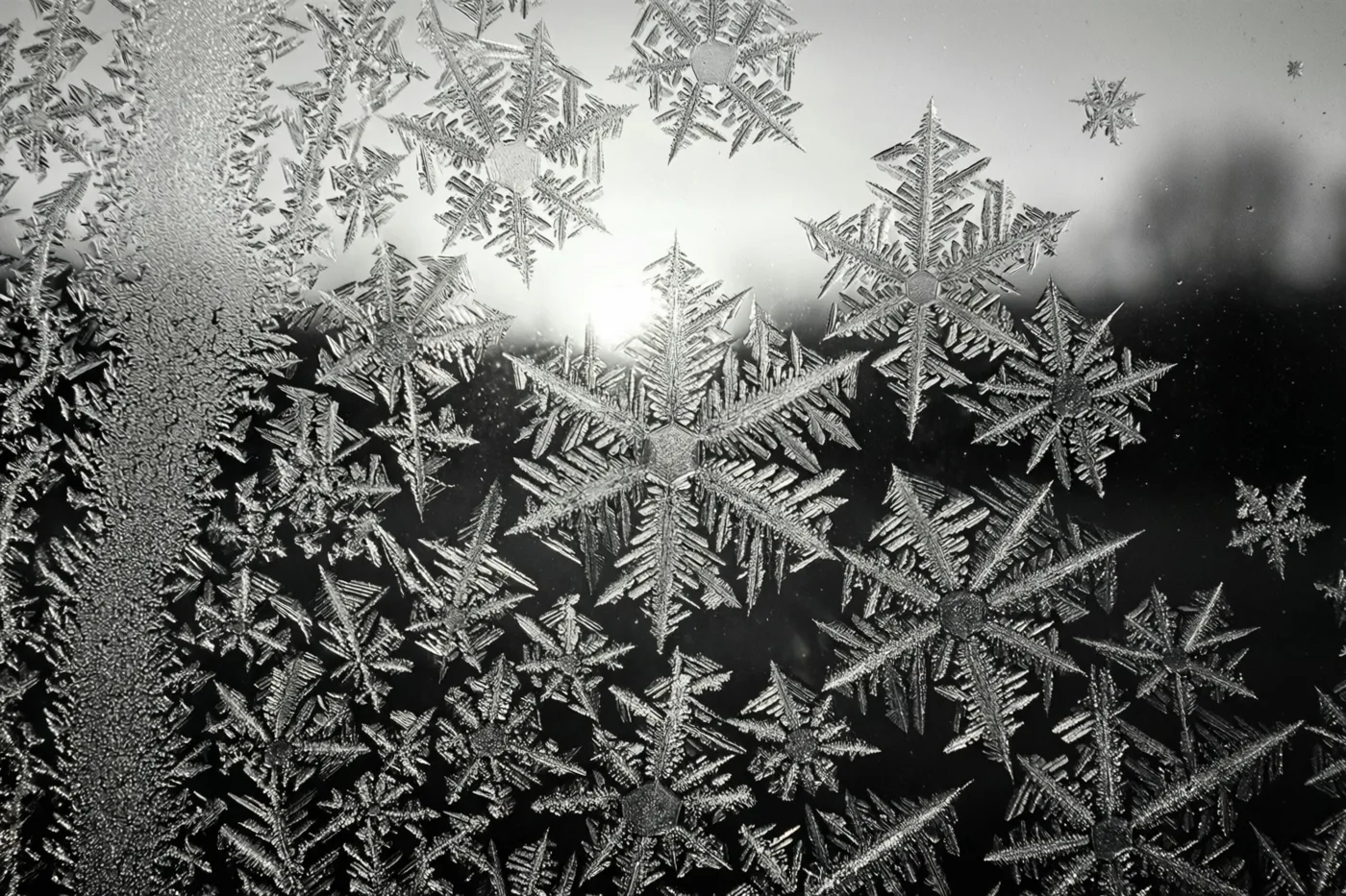 IJskristallen vormen gedetailleerde patronen op een ruit met het eerste licht van achteren, in een monochroom beeld met heldere ijsvormen tegen een donkere achtergrond.