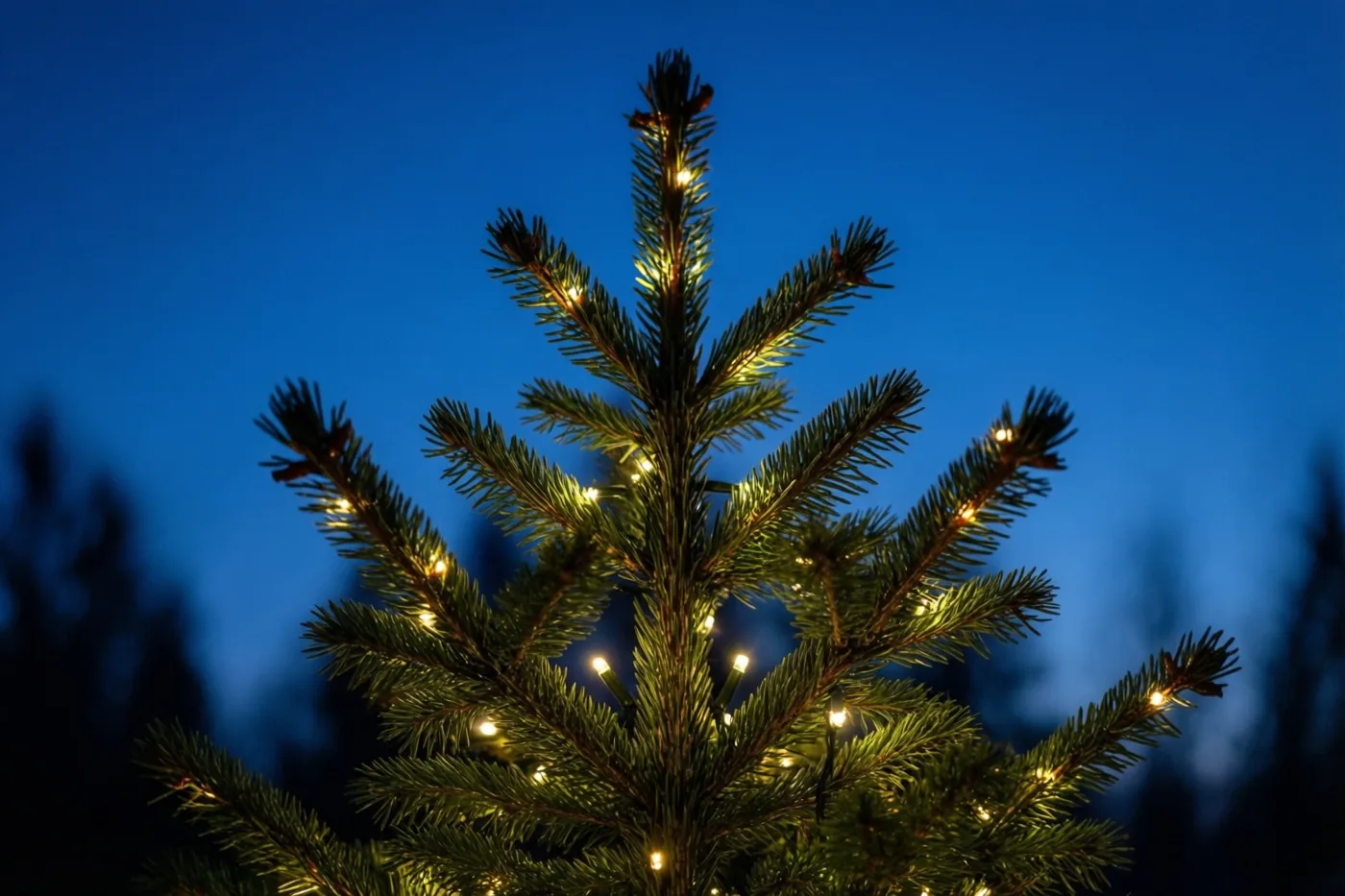 Een close-up toont een dennenboom met brandende lichtsnoeren tegen een diepblauwe schemerlucht.