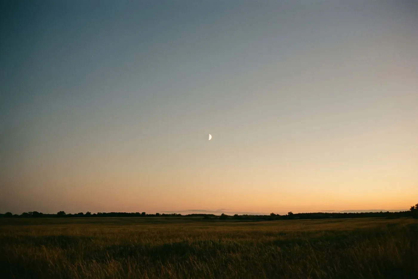 Een smalle maansikkel hangt laag boven een uitgestrekt goudkleurig veld bij schemering, onder een hemel die van oranje aan de horizon naar blauw overgaat.