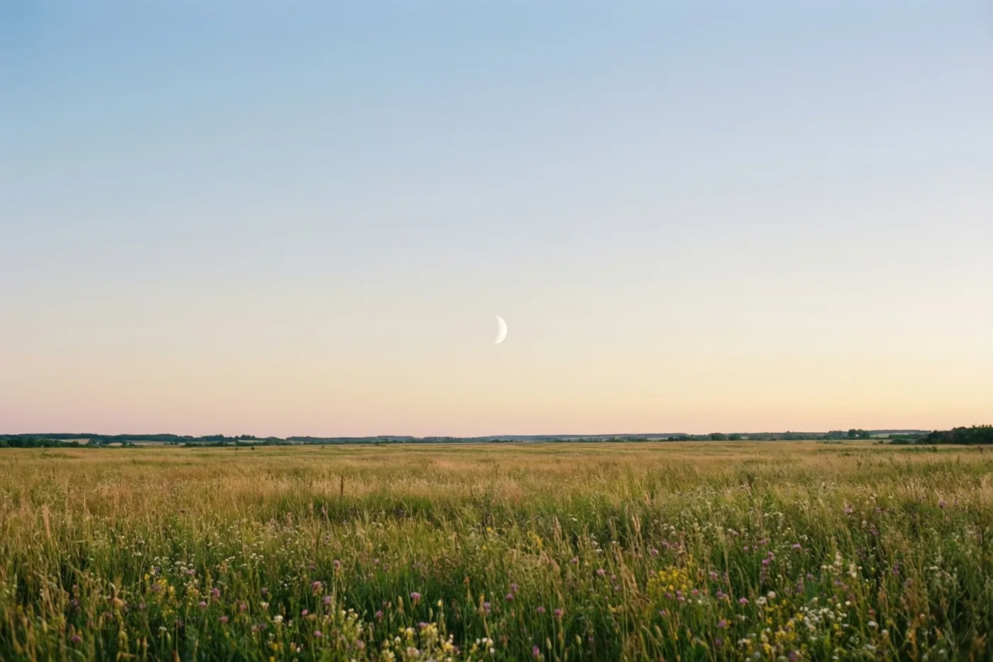 Een maansikkel staat laag aan de schemerhemel boven een uitgestrekt veld met hoog gras en wilde bloemen in zachte blauwe, perzikkleurige en groene tinten.