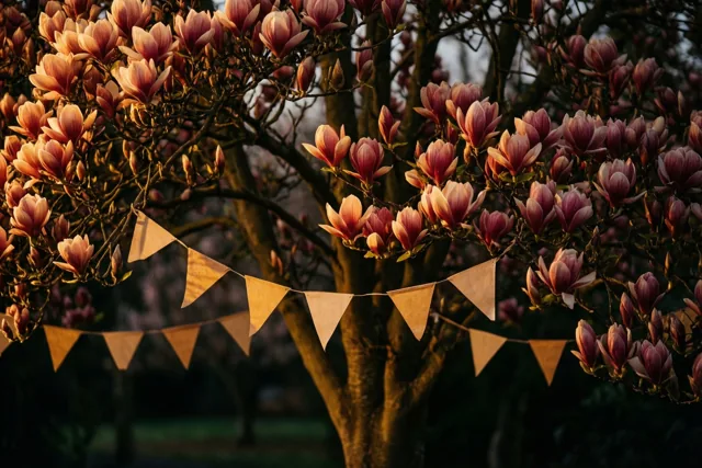 Een bloeiende magnolia voor jou