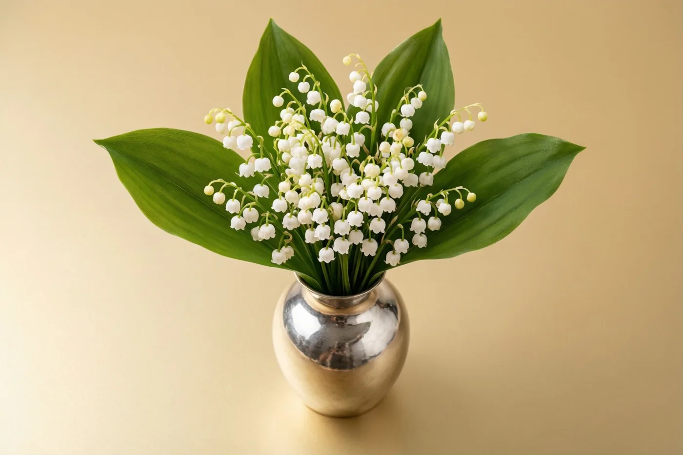 Witte meiklokjes met groene bladeren staan in een klein zilveren vaasje tegen een effen beige achtergrond, in zacht gelijkmatig licht.