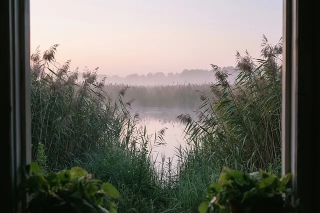 Een stil uitzicht als troost