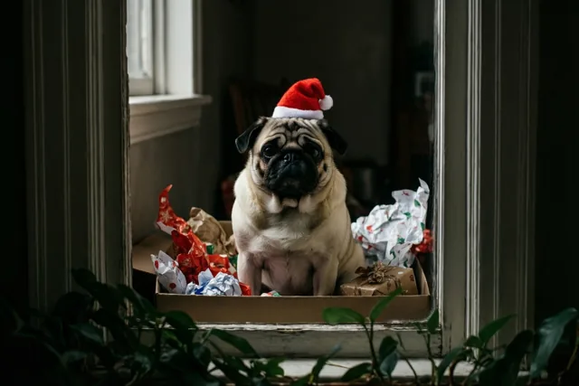 Kerst komt met een snoet