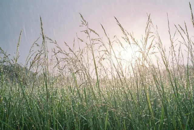 Voorzichtig licht na de storm
