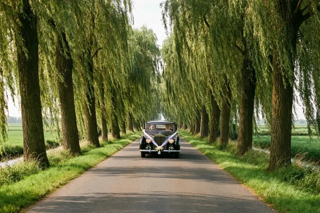 Pasgetrouwd door de groene polders