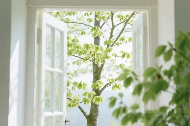 Zet de lente binnen