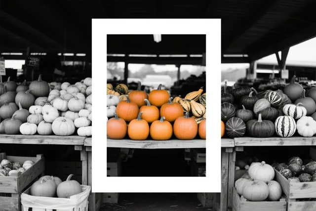Oranje in de hoofdrol