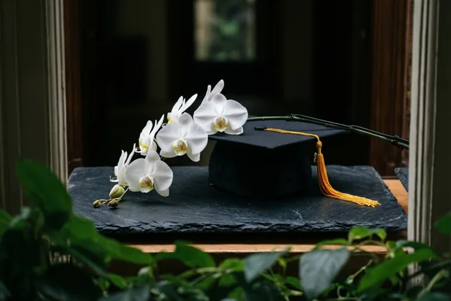 Je diploma in het licht