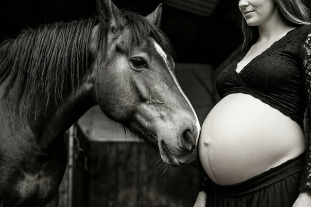 Paard begroet het kleine wonder