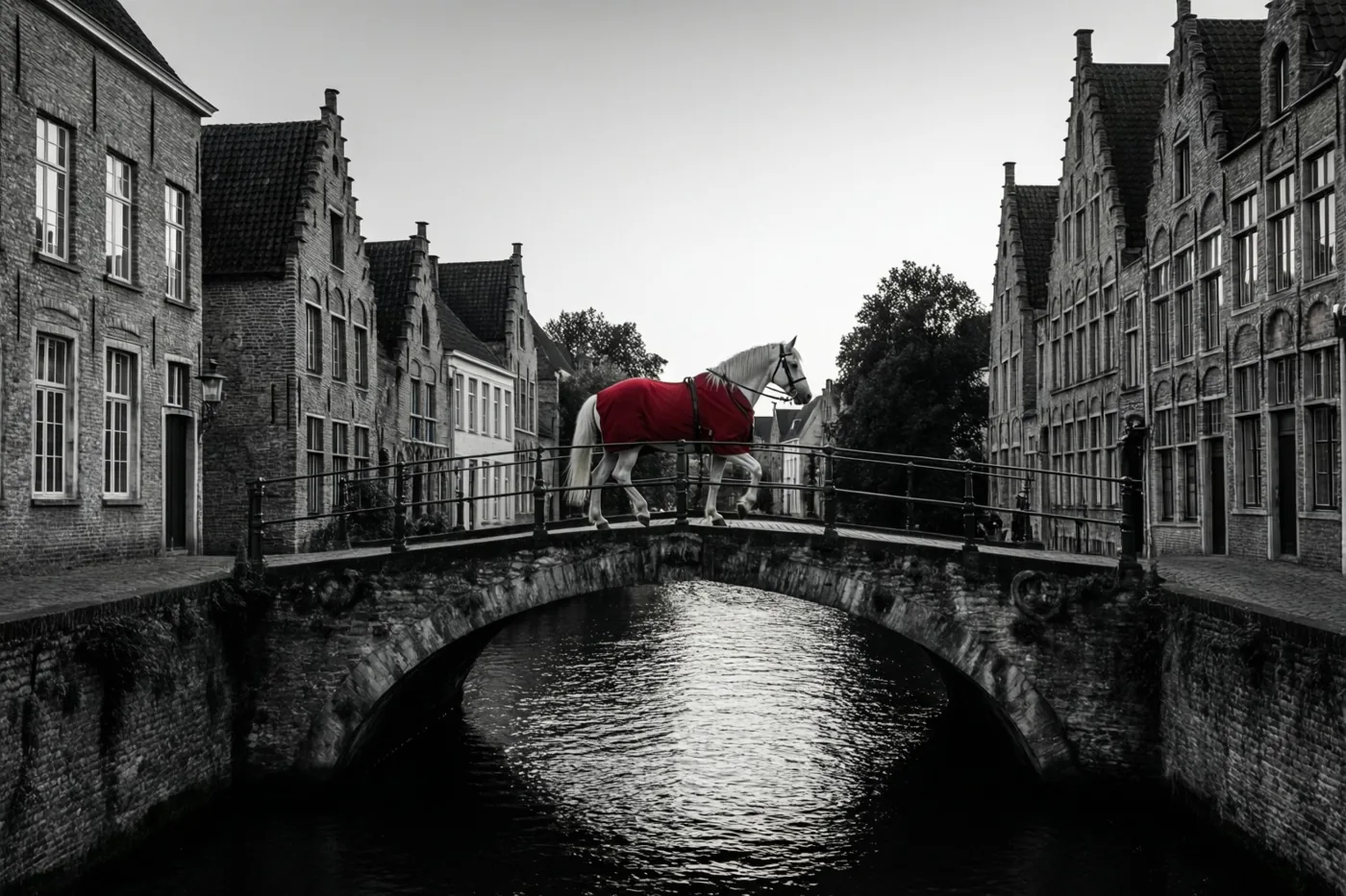 Een wit paard met een rode deken steekt bij schemering een stenen kanaalbrug in een oud Vlaams stadje over, in zwart-wit met de deken als enige felle kleur.
