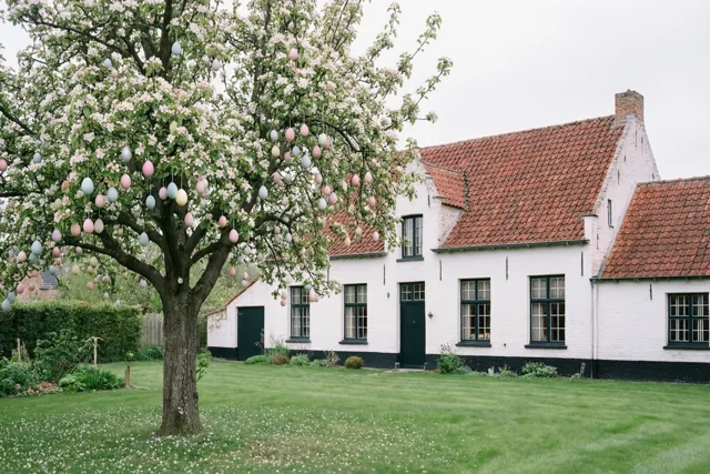 Paasbloesems bij de hoeve