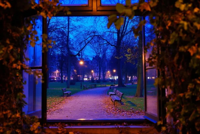 Door een raam met oranjegele bladeren is een parkpad vol bladeren te zien, met lege banken en kale bomen in blauw schemerlicht.
